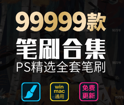 某宝购买—9999+款PS精选全套笔刷合集，支持win+mac系统